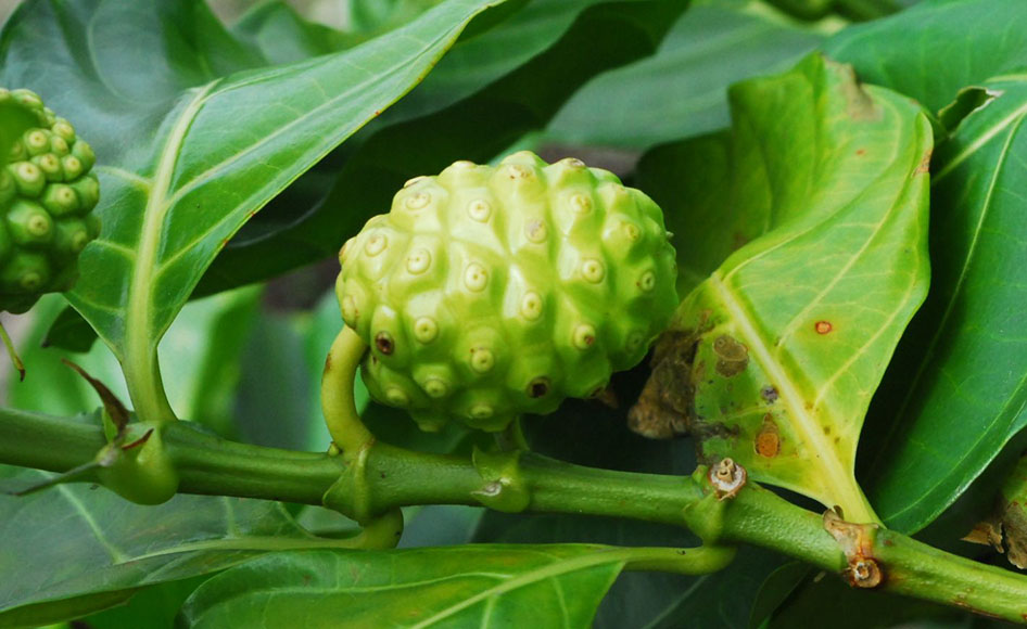 神様からの贈り物